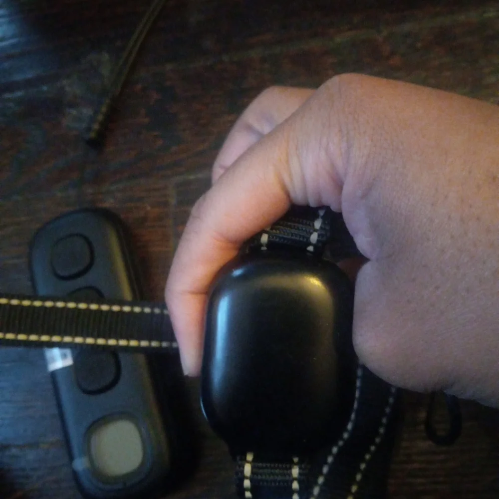 Remote Pet Training Collar with LCD Display